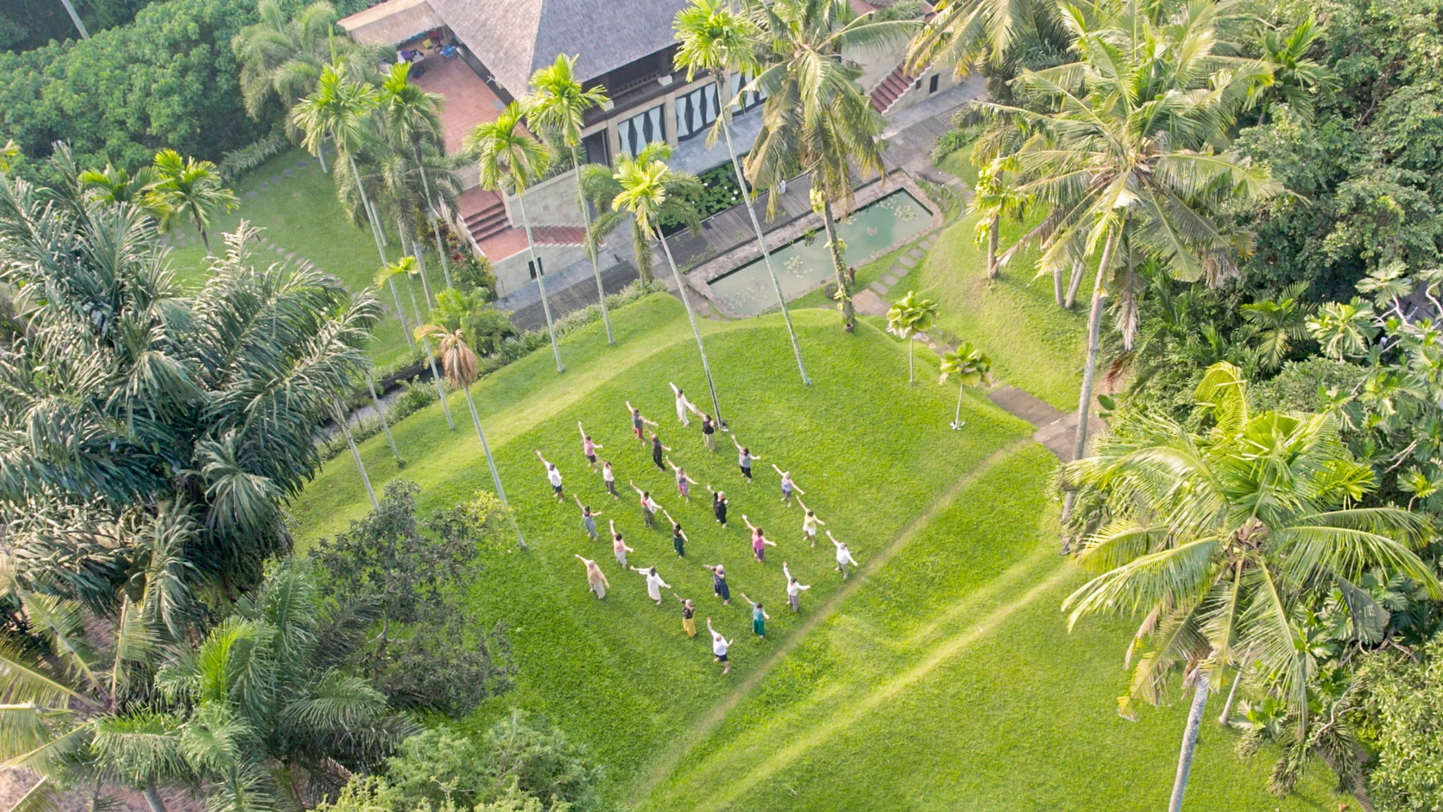 An aerial view of a group practising on a lawn among tropical gardens