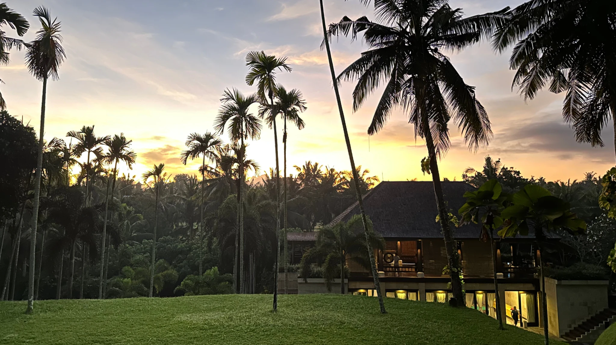 Palm trees and a garden pavilion beneath a softly coloured evening sky