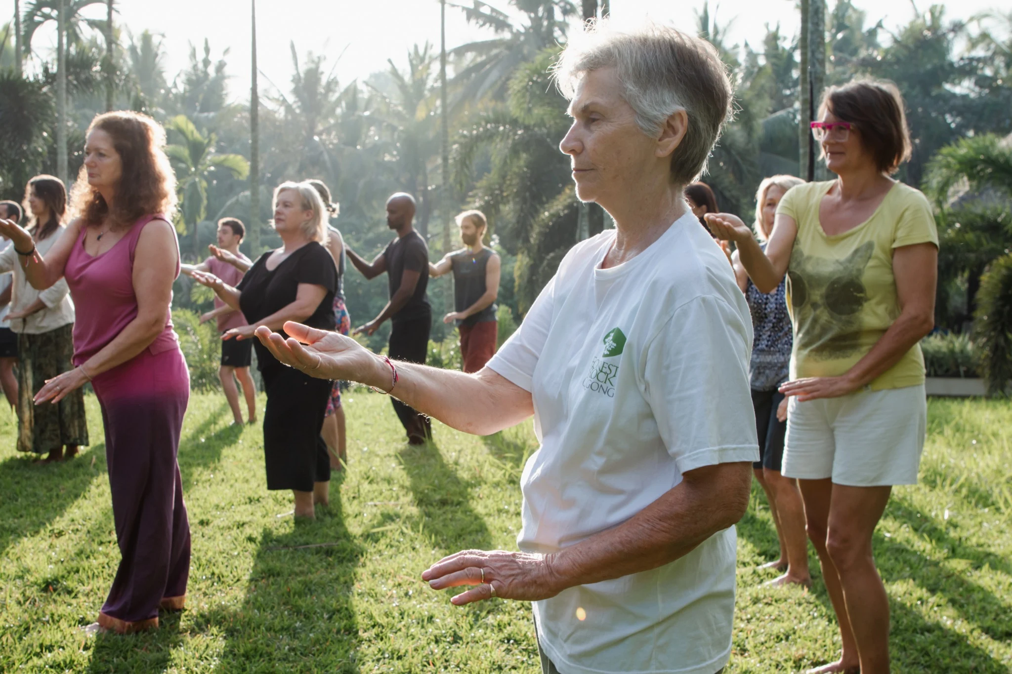 A group practising Qigong together in a sunlit garden